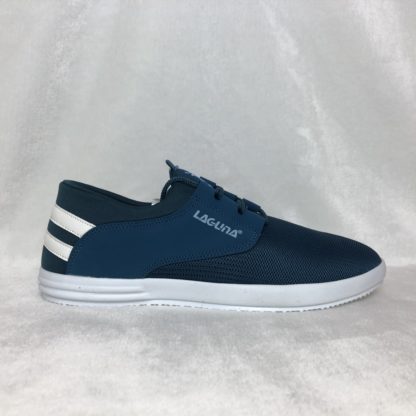 Model 2018-020 PETROL